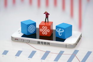 上海市民可到三家營業(yè)廳辦理攜號轉網，附轉網最詳攻略及基礎電信業(yè)務解析